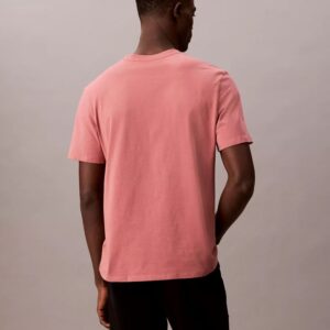 Stripe Logo Graphic Classic T-Shirt