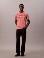 Stripe Logo Graphic Classic T-Shirt