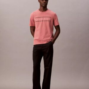 Stripe Logo Graphic Classic T-Shirt