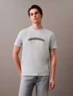 Arched Logo Graphic Classic T-Shirt