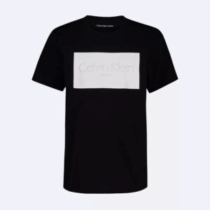 Boys Contrast Logo Graphic Classic T-Shirt
